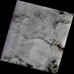 1490589726078082045.png