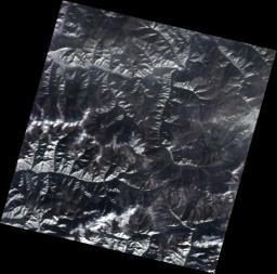1490589726157071527.png