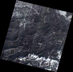 1490589726166013756.png
