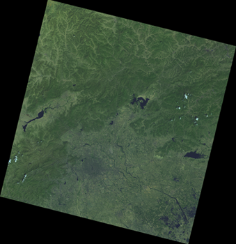 1488867656347030064.png red1.png