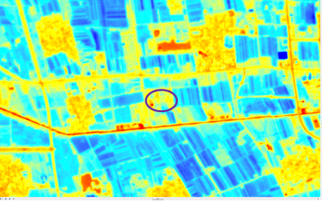 1488867698923037479.png red2.png