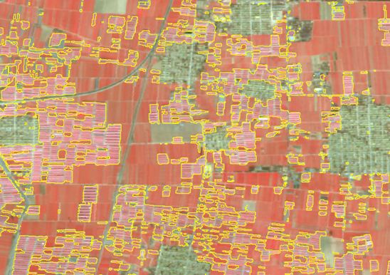 1489454254279098172.png nongmo1.png