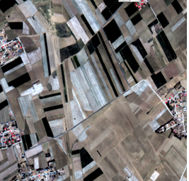 1489454684430067398.png nongmo4.png