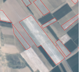 1489454773702053964.png nongmo8.png